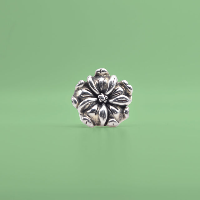 Flor de plata